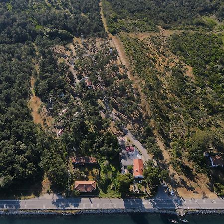 Parque De Campismo Orbitur Sao Jacinto Hotel Bagian luar foto